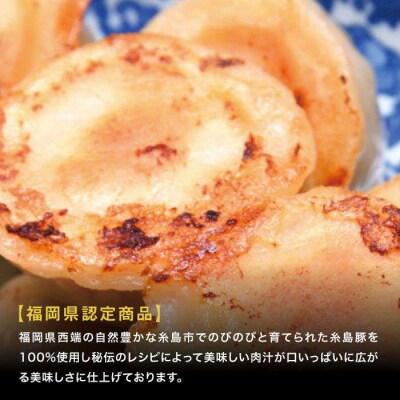 元祖・糸島豚籠包18個入り(6個×3箱) 糸島市/食工房たまひろ[ASA003]