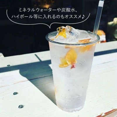 季節のウォーターミックス4袋セット【110west.inc】【いとしまごころ】[ASC004]