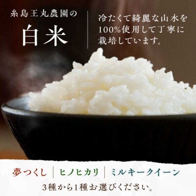 糸島おむすびセット いとしまごころ 米 佃煮 海苔 おむすび おにぎり [ASD025]