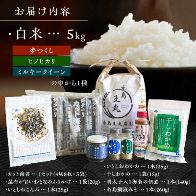 糸島おむすびセット いとしまごころ 米 佃煮 海苔 おむすび おにぎり [ASD025]