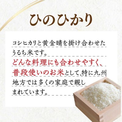 ＼令和6年産/糸島産 ひのひかり 3kg 糸島市/糸島ファーム青空 [ASM002]