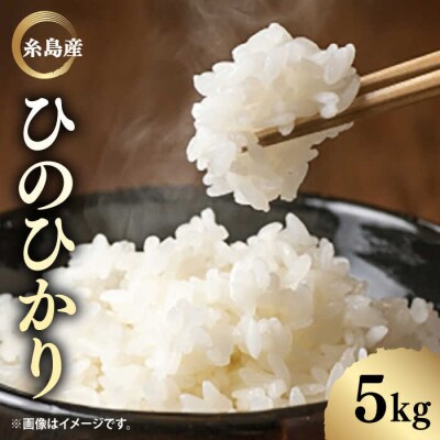 糸島産 ひのひかり 5kg 糸島市/糸島ファーム青空 [ASM003]