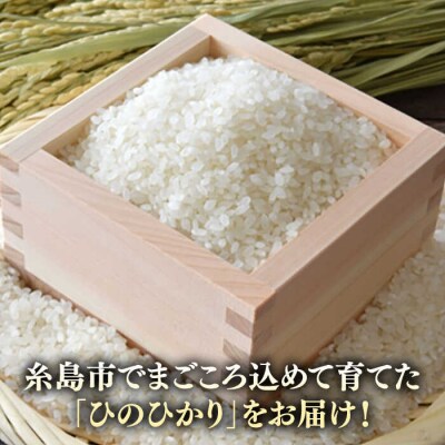 糸島産 ひのひかり 5kg 糸島市/糸島ファーム青空 [ASM003]