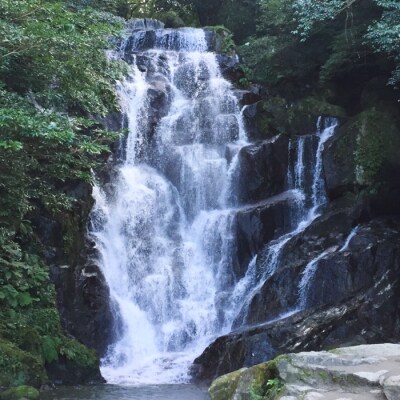 いとしま1泊2日プレミアム 1名様分 糸島市 / VISIT九州 [ASO002]