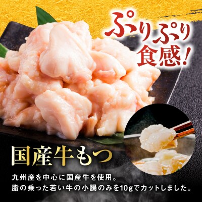 もつ増量 博多もつ鍋おおやま もつ鍋醤油味2人前 糸島市/株式会社ラブ [ASP007]