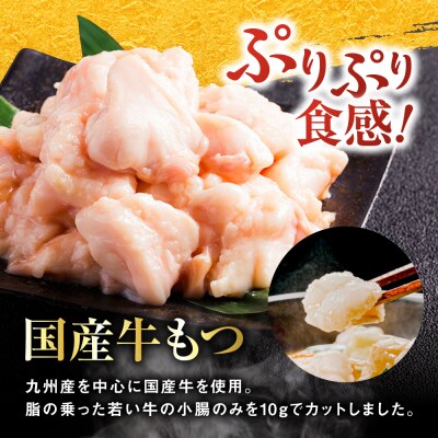【全12回定期便】 博多もつ鍋 おおやま みそ味 4人前 糸島市 / 株式会社ラブ [ASP029]
