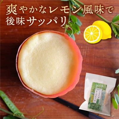 【全6回定期便】無添加チーズのいとしまチーズケーキ【5個入り】糸島手作り工房 爽風 [ATA006]