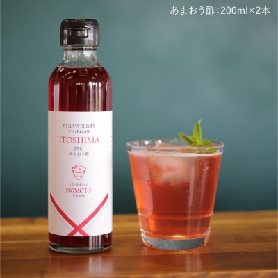 飲むあまおう酢2本セット【糸島磯本農園】いちごイチゴ苺[ATB017]