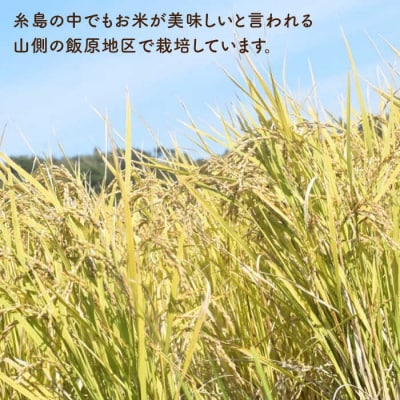 糸島産餅米10kg自然栽培天日干し 糸島市/大石ファーム[ATE006]