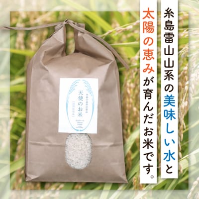 【 全12回 定期便 】 自然栽培 ヒノヒカリ 10kg 糸島市/大石ファーム [ATE022]