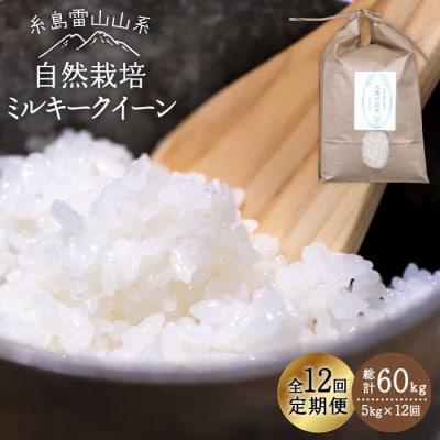 【全12回定期便】糸島産 ミルキークイーン 5kg 自然栽培 糸島市/大石ファーム[ATE028]