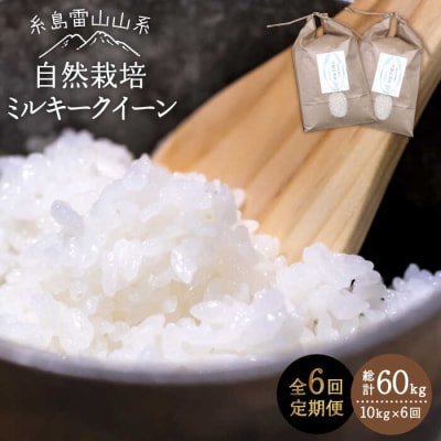 【全6回定期便】糸島産 ミルキークイーン 10kg 自然栽培 糸島市/大石ファーム[ATE030]