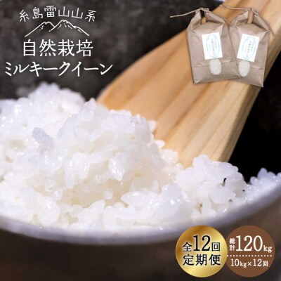 【全12回定期便】糸島産 ミルキークイーン10kg 自然栽培 糸島市/大石ファーム[ATE031]