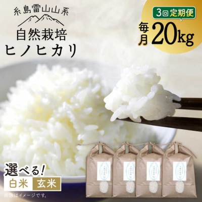 【全3回定期便】自然栽培 ヒノヒカリ 20kg 糸島市/大石ファーム [ATE035]