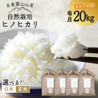 【全6回定期便】自然栽培 ヒノヒカリ 20kg 糸島市/大石ファーム [ATE036]