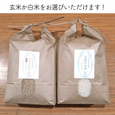 【全6回定期便】自然栽培 ヒノヒカリ 20kg 糸島市/大石ファーム [ATE036]