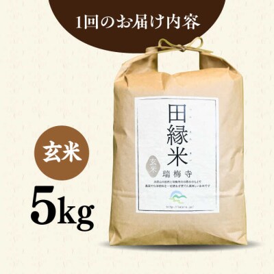 【全6回定期便】 田縁米(でんえんまい)・瑞梅寺(ずいばいじ) 玄米 5kg 米 [ATM009]