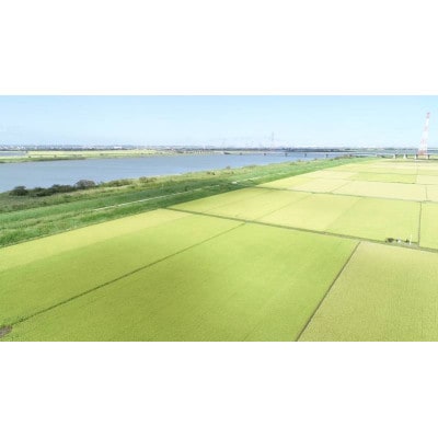 【令和7年産】新米 契約栽培 千葉県香取市産コシヒカリ(精米) 5kg