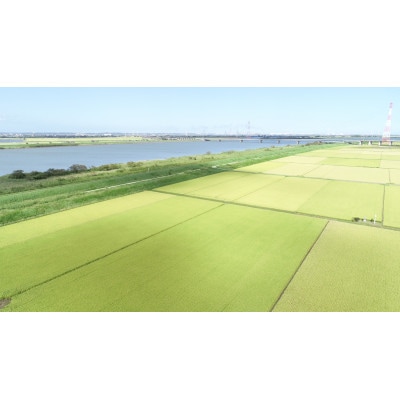 【毎月定期便】千葉県香取市産コシヒカリ(精米) 5kg全3回