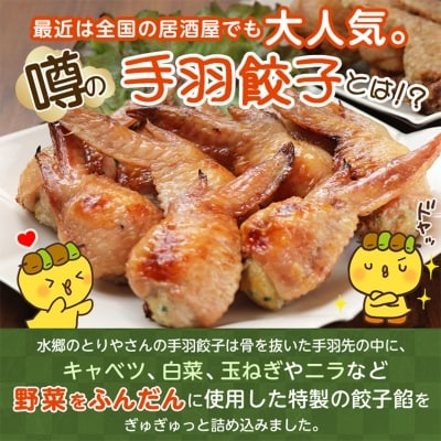8秒に1本売れてます!手羽先餃子10本セット/水郷のとりやさん