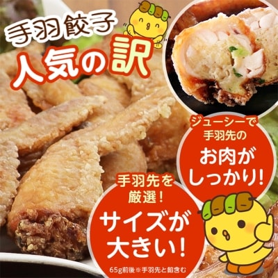 8秒に1本売れてます!手羽先餃子10本セット/水郷のとりやさん