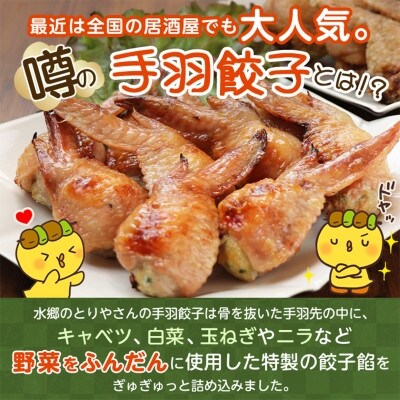 手羽先餃子15本セット/水郷のとりやさん