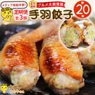 【毎月定期便】8秒に1本売れてます!手羽先餃子20本セット! 全3回