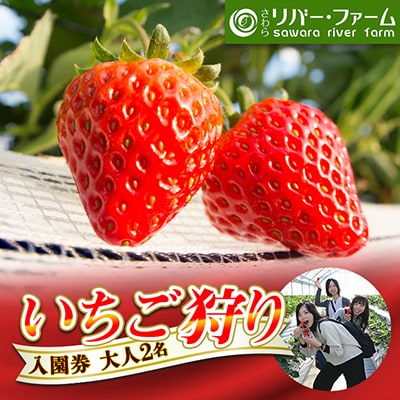 さわらリバー・ファーム「いちご狩り」入園券(大人2名)