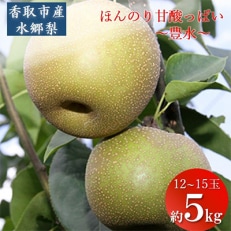 「地元 水郷梨」豊水梨1箱 約5kg(12玉～15玉)