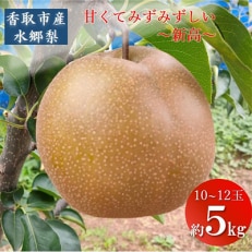 「地元 水郷梨」新高梨1箱　約5Kg(10～12玉)
