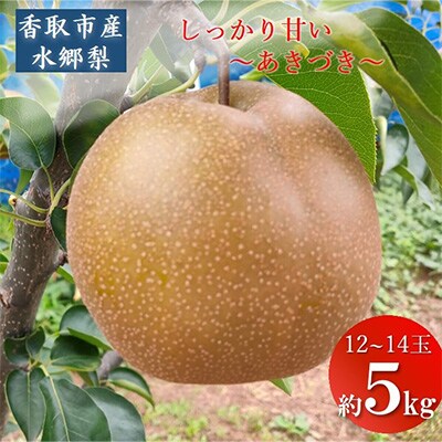 「地元 水郷梨」あきづき梨1箱　約5Kg(12～14玉)