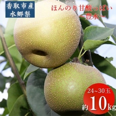 「地元 水郷梨」豊水梨1箱 約10Kg(24玉～30玉)