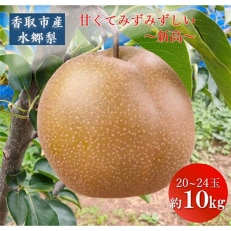 「地元 水郷梨」新高梨1箱 約10Kg(20～24玉)