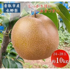 「地元 水郷梨」あきづき梨 1箱約10Kg(24～28玉)