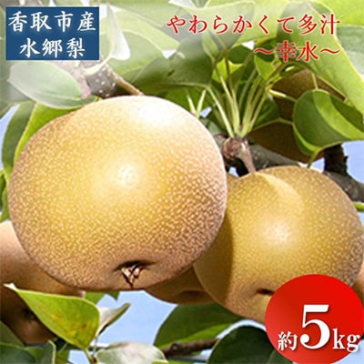 「香取市産 水郷梨」幸水 約5kg