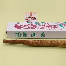 香取市産 自然薯 約1kg