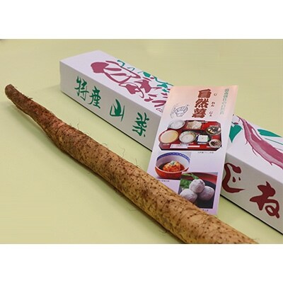 香取市産 自然薯 約1kg