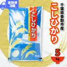 【毎月定期便】千葉県香取市産 の お米 100% コシヒカリ 5kg全3回