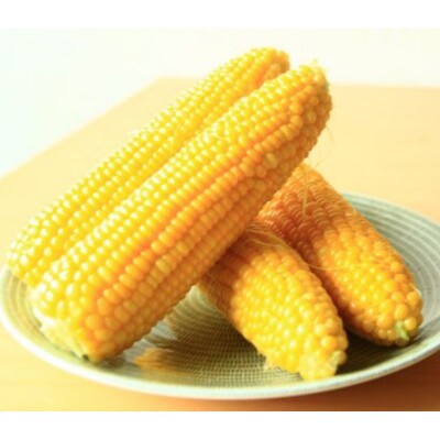 粒ぎっしり!THE FARMの朝採れ「ゴールドラッシュ」 10本