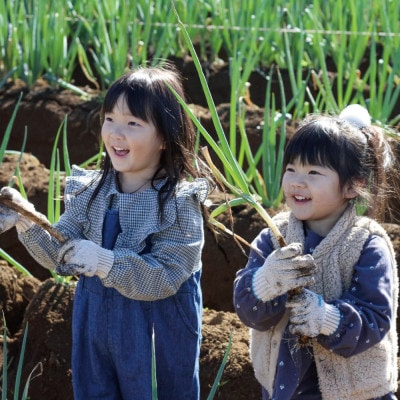 手ぶらでOK!THE FARMの旬の野菜収穫体験引換券(1袋)