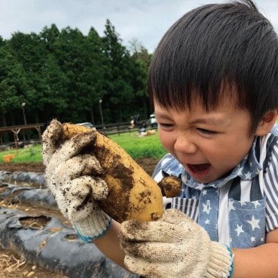手ぶらでOK!THE FARMの旬の野菜収穫体験引換券(1袋)