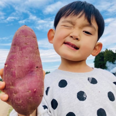 手ぶらでOK!THE FARMの旬の野菜収穫体験引換券(1袋)