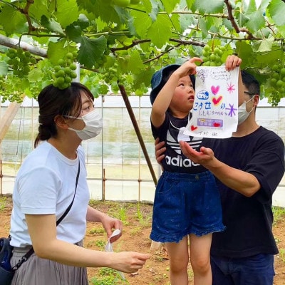 THE FARM大粒でジューシー!巨峰1kg【先行受付品・発送は2025年7月31日以降】