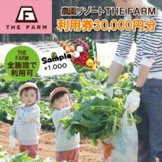 BBQやキャンプなども楽しめる複合施設 THE FARM利用券30,000円分