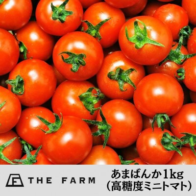 ザファームのあまばんか(高糖度ミニトマト)1kg【先行受付品・返礼品の発送は2025年1月下旬以降】