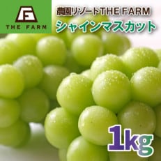 THE FARMのシャインマスカット1kg【先行受付品・返礼品の発送は2024年8月20日以降】