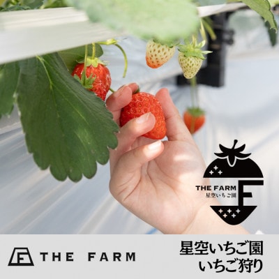 THE FARM星空いちご園　大人ペア収穫体験券