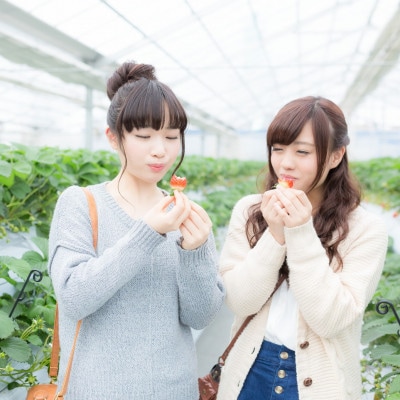 THE FARM星空いちご園　大人ペア収穫体験券