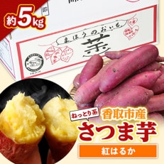 【先行受付】香取市産 さつまいも 紅はるか 約5kg 焼き芋 や スイートポテト にどうぞ