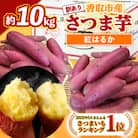 【先行受付】【訳あり】香取市産 さつまいも紅はるか 約10kg×1